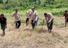 Dukung-Program-Presiden,-Polres-Ende-Hijaukan-75-Hektar-Lahan-dengan-Jagung