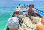 Satpolairud-Polres-Ende-Polda-NTT-Amankan-Kapal-Asal-Buton-Bermuatan-3-Ton-Keong-Lola