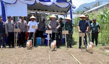 Penanaman-Jagung-Serentak-Kuartal-IV,-Komitmen-Polres-Ende-Dukung-Swasembada-Pangan-Nasional
