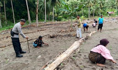 Polres-Ende-Sukses-Tanam-Jagung-66-Hektar,-Lampaui-Target-Polda-NTT-Lewat-Gerakan-NTT-Lumbung-Jagung
