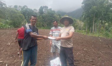 Dukung-Ketahanan-Pangan,-Polsek-Wolowaru-dan-Warga-Wiwipemo-Tanam-Jagung-Serentak-di-Lahan-1,2-Hektar