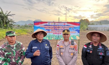 Polres-Ende-Bersama-Forkopimda-Tanam-Jagung-Serentak-Kuartal-1-2026-di-Nanganesa