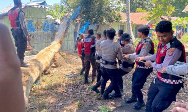 Hadir-untuk-Masyarakat,-Sat-Samapta-Polres-Ende-Polda-NTT-Gotong-Royong-Bersihkan-Pohon-Tumbang-di-TK-Kober-Patas