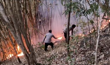 Polsek-Ende-Bersama-Damkar-Padamkan-Titik-Api-Karhutla