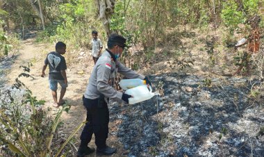 Aksi-Cepat-Wakapolsek-Ende-bersama-Warga-Padamkan-Api-di-Kaki-Gunung-Meja-Sebelum-Meluas