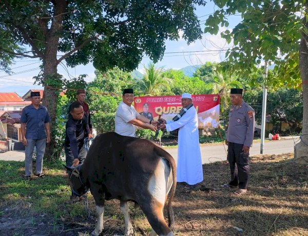 Wujudkan Kepedulian Sosial, Kapolres Ende Serahkan Hewan Kurban di Idul Adha 2026