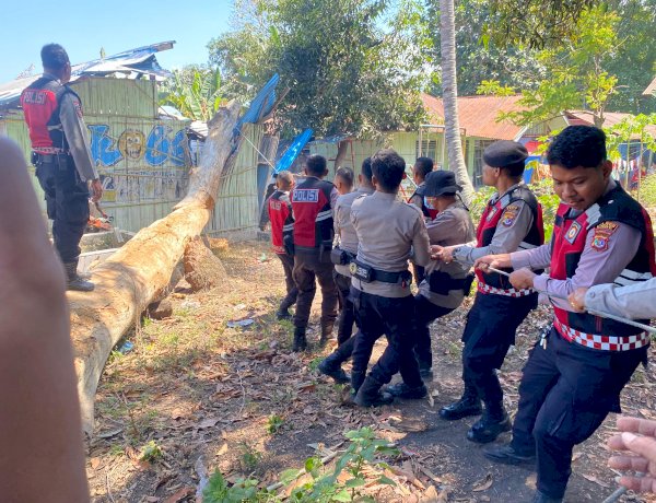 Hadir untuk Masyarakat, Sat Samapta Polres Ende Polda NTT Gotong Royong Bersihkan Pohon Tumbang di TK Kober Patas