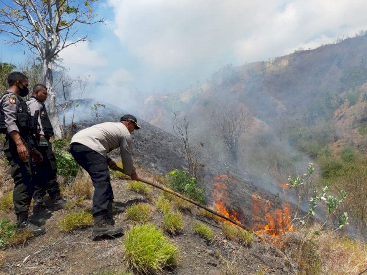 Kapolres Ende Turun Langsung Padamkan Kebakaran Hutan Dan Lahan