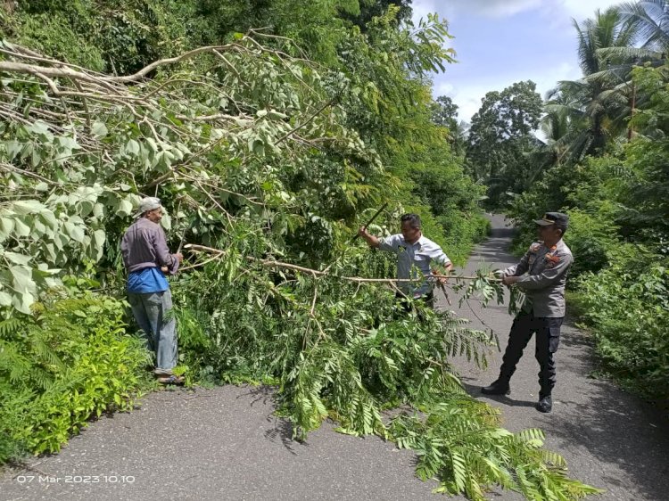 Antisipasi Pohon Tumbang di Jalan Raya, Kapolsek Nangapanda Lakukan Patroli Kamtibmas