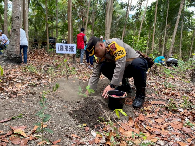 Polres Ende Bersama Instansi Terkait Lakukan penanaman 105 Anakan Pohon Berbagai Jenis