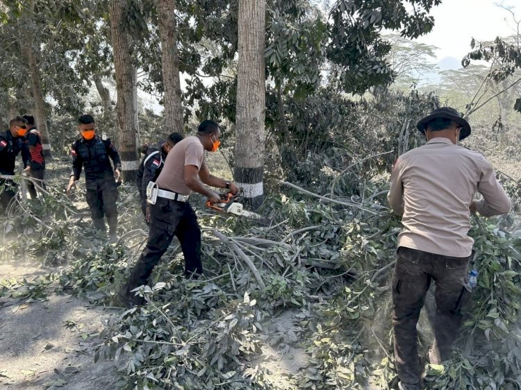 Sinergitas Polri bersama TNI dan Pemda flotim Tangani Pasca Erupsi Gunung Api Lewotobi Laki-Laki