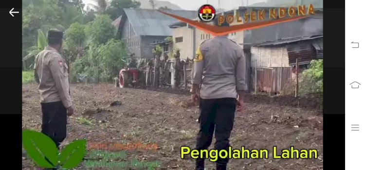 Dukung Program Ketahanan Pangan Nasional Dan Program Pekarangan Pangan Bergizi (P2B), Polsek Ndona Olah Lahan  Di Desa Nanganesa