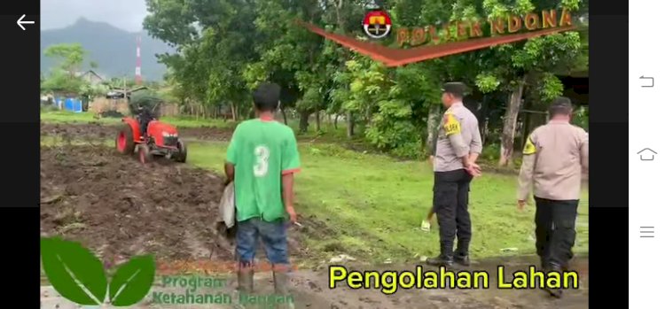 Dukung Program Ketahanan Pangan Nasional Dan Program Pekarangan Pangan Bergizi (P2B), Polsek Ndona Olah Lahan  Di Desa Nanganesa