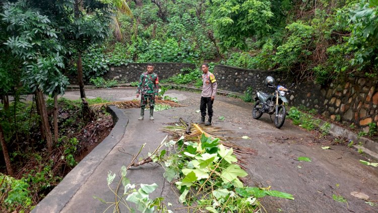 Terjadi Longsor Di Ruas Jalan Ende - Nangaba, Lalu Lintas Sempat Terhambat