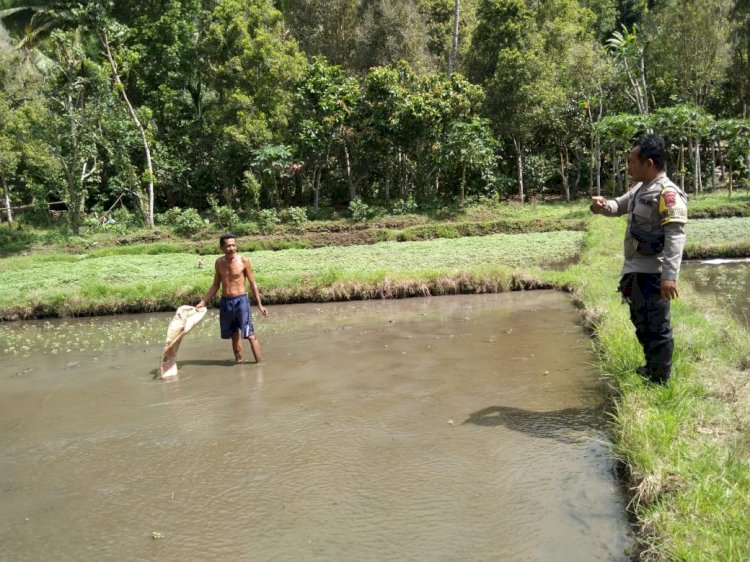 Dukung Program Ketahanan Pangan Nasional, Bhabinkamtibmas Desa Kedebodu Dorong Warga untuk Budidaya Ikan