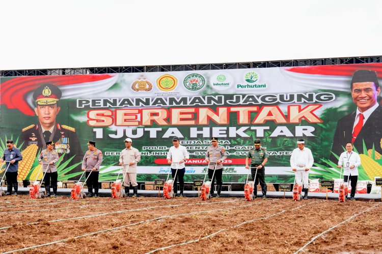 Gerakan 1 Juta Hektare Jagung: Sinergi Polri dan Kementrian Pertanian Wujudkan Swasembada Pangan 2025