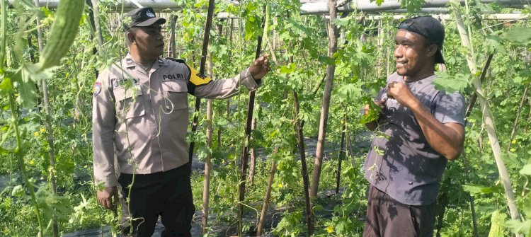 Polres Ende Sebagai Penggerak Pada Lahan P2B