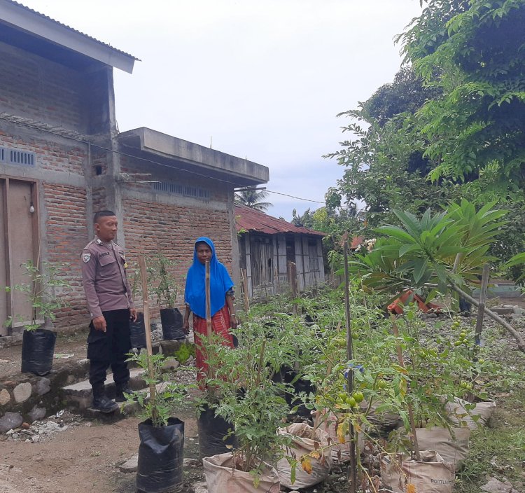 Mendorong Masyarakat Untuk Mendukung Program Ketahanan Pangan, Polsek Lio Timur Himbau Masyarakat Untuk Menanam Di Pekarangan Rumah