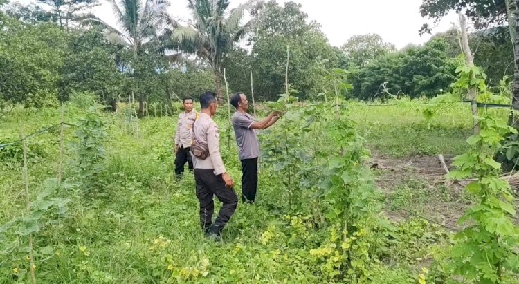 Upaya Meningkatkan Program Ketahanan Pangan, Polsek Wewaria Meninjau Lahan P2B Milik Masyarakat