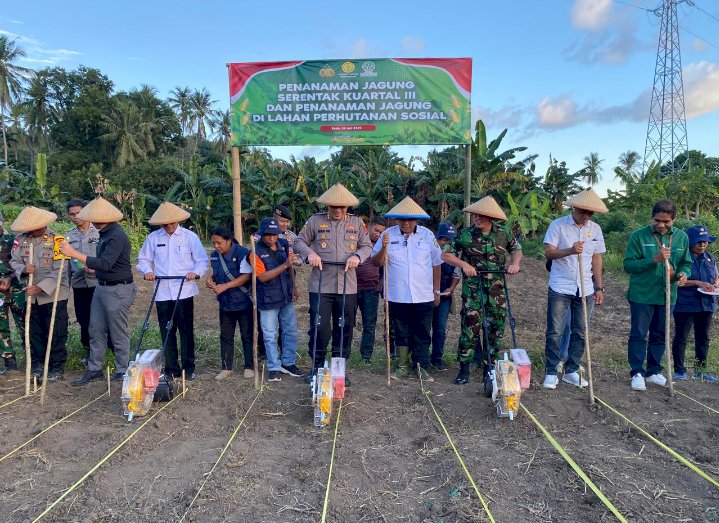 Dukung Ketahanan Pangan Nasional, Polres Ende Tanam Jagung Serentak Kuartal III