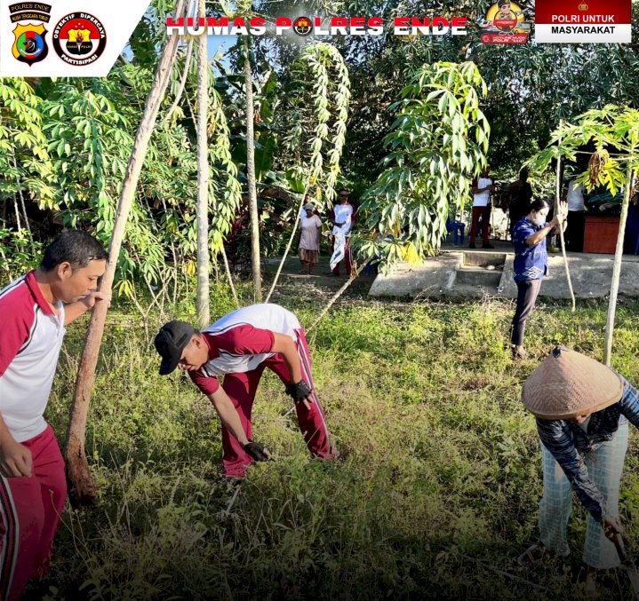 Dukung Program Ketahanan Pangan Nasional, Polres Ende Bersihkan Lahan di Desa Embundoa
