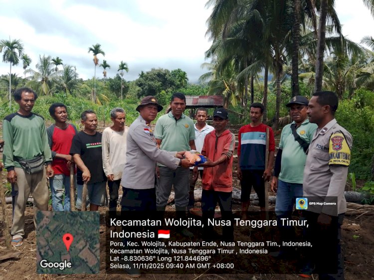 Polsek Wolowaru Genjot  Ketahanan Pangan: 5,5, Hektar Lahan di Wolowaru Siap Jadi Lumbung Jagung