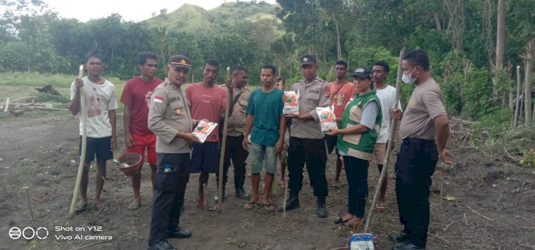 Polres Ende Pacu Ketahanan Pangan: Tanam Jagung di Maukaro Total Lahan Tanam Capai 65,5 Hektar