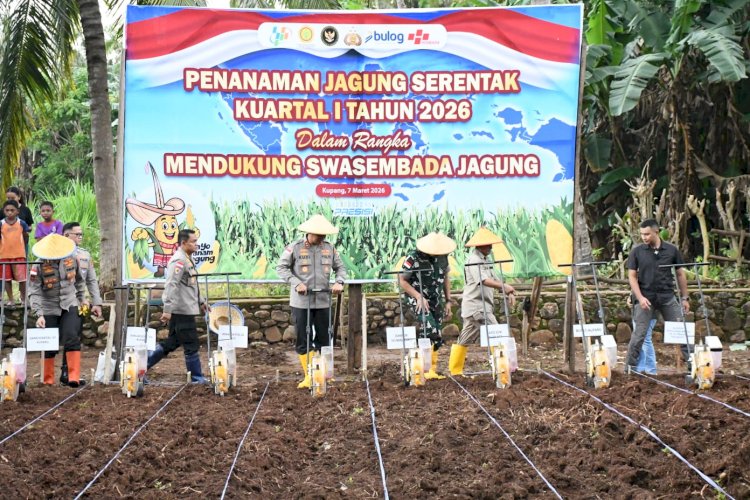 Dukung Asta Cita Presiden RI, Polda NTT Perluas Akselerasi Swasembada Pangan: Targetkan 10.000 Hektar Lahan dan Produktivitas 5 Ton per Hektar