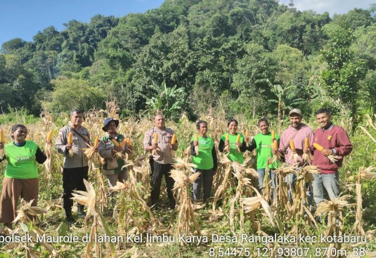 Kolaborasi Polri dan Petani, Panen Jagung di Desa Ndondo Perkuat Ketahanan Pangan Nasional