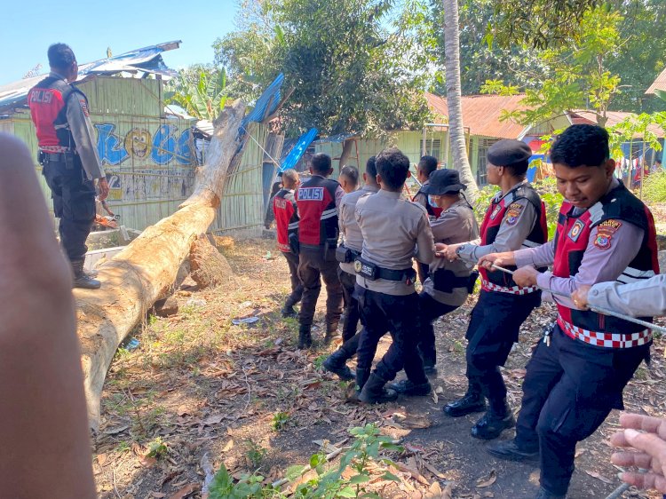 Hadir untuk Masyarakat, Sat Samapta Polres Ende Polda NTT Gotong Royong Bersihkan Pohon Tumbang di TK Kober Patas