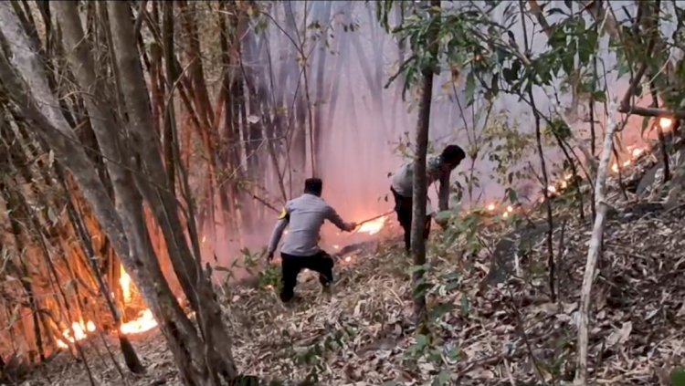 Polsek Ende Bersama Damkar Padamkan Titik Api Karhutla