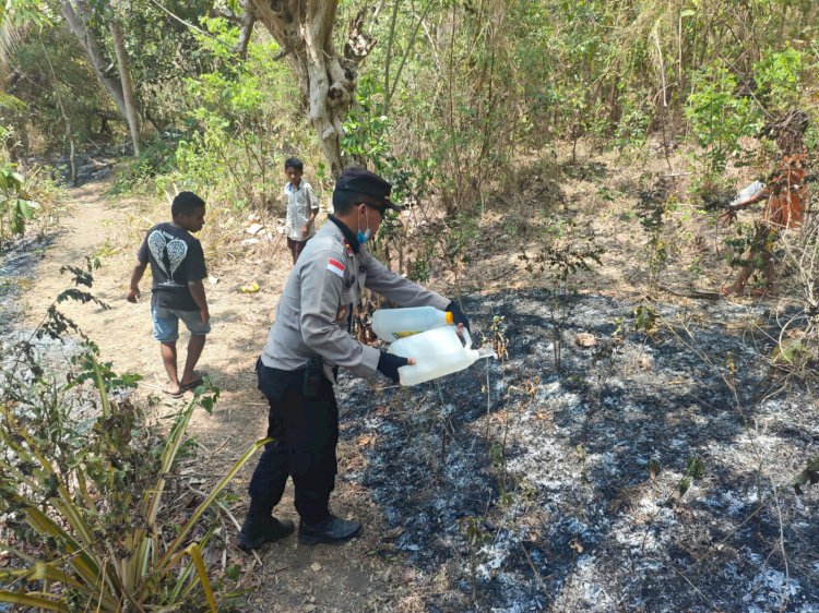 Aksi Cepat Wakapolsek Ende bersama Warga Padamkan Api di Kaki Gunung Meja Sebelum Meluas