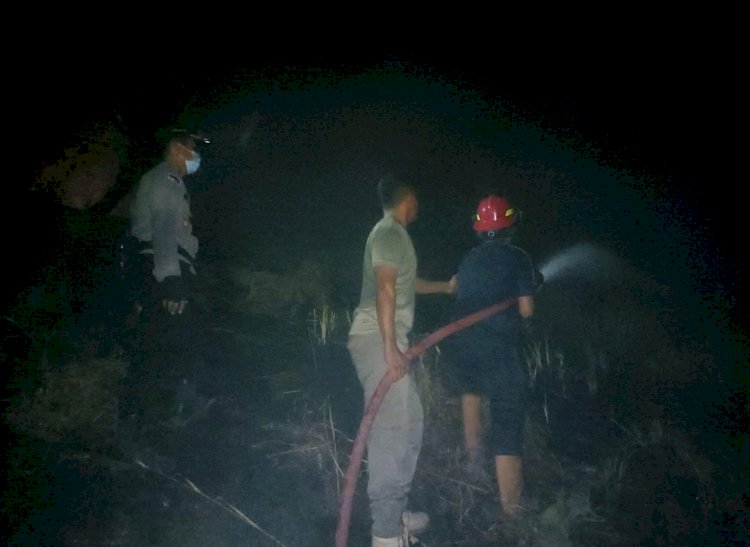 Respon Cepat Polsek Ende dan Damkar Padamkan Titik Api di Bukit Embu Misi