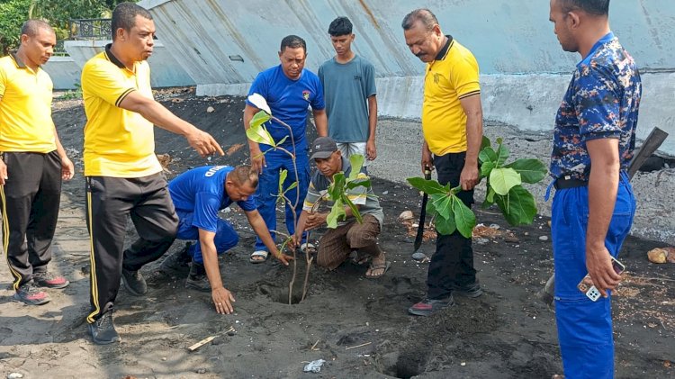Aksi Nyata Jaga Lingkungan, Satpolairud Polres Ende Polda NTT Tanam Stek Pohon Ketapang di Pantai Kotaraja